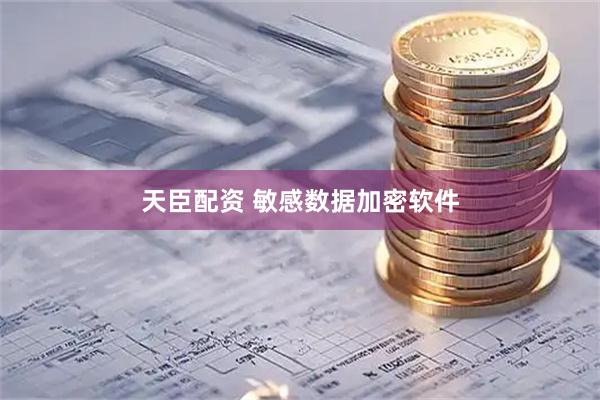天臣配资 敏感数据加密软件