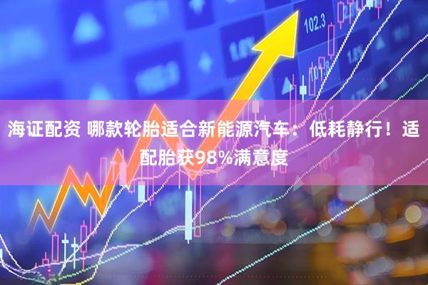 海证配资 哪款轮胎适合新能源汽车：低耗静行！适配胎获98%满意度