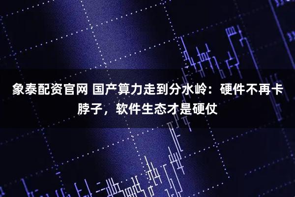 象泰配资官网 国产算力走到分水岭：硬件不再卡脖子，软件生态才是硬仗